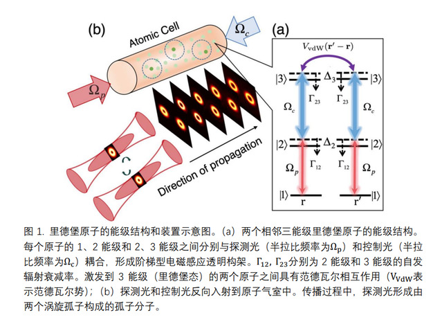 华东师大黄国翔教授研究团队：稳定的高维弱光孤子分子及其主动操控